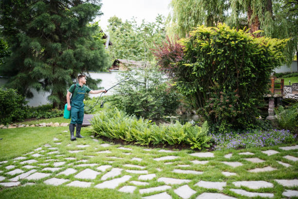 Flea Control Services in White Center, WA