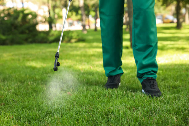 Best Pest Inspection Near Me  in White Center, WA