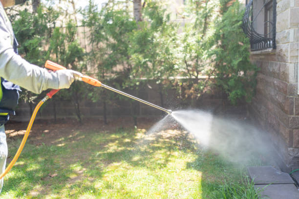Wildlife Control Services in White Center, WA