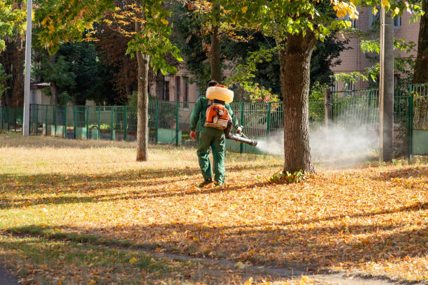 Best Pest Removal Services  in White Center, WA