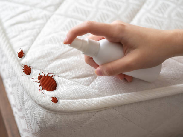 Best Commercial Pest Control Services  in White Center, WA