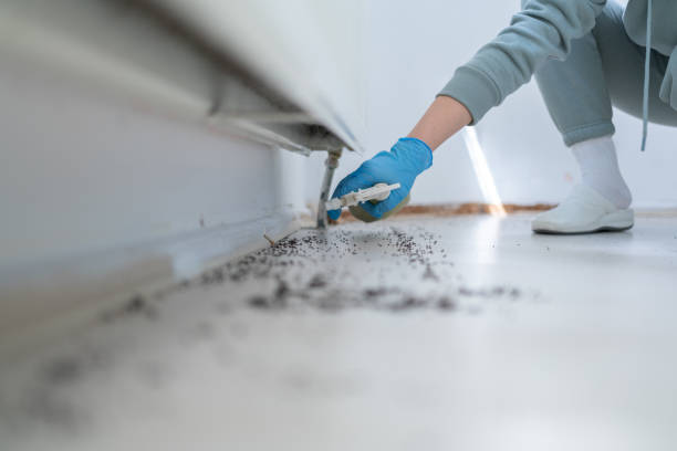 Best Emergency Pest Control  in White Center, WA
