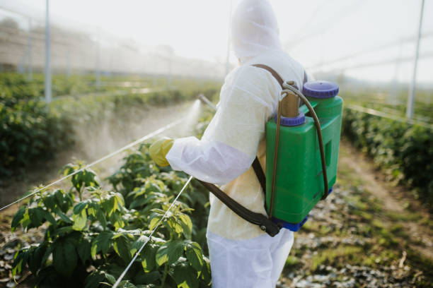 Best Pest Control Cost  in White Center, WA